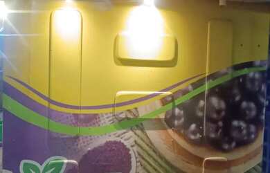 Imagem 5: Quiosque montado pronto para funcionar