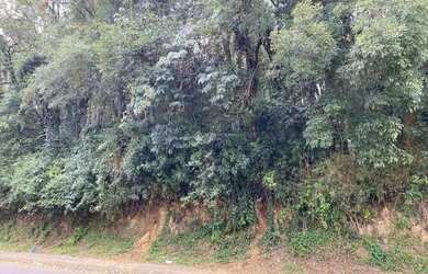 Imagem 6: Terreno no bairro Palace Hotel