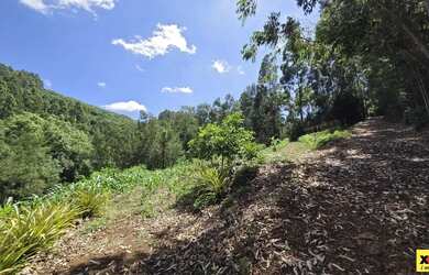 Imagem 14: Sítio / Chácara para Venda em Nova Petrópolis, São Jacó