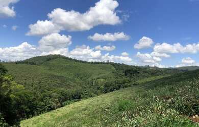 Imagem 8: Lotes de 20x50. 1.000m² de Área