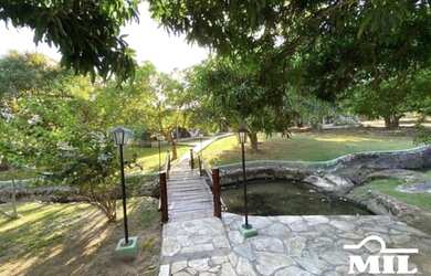 Imagem: A fazenda possui Piscina e está localizado em Goiás, GO à