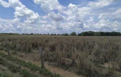 Imagem 7: Fazenda em Peixe. 4.890m² de Área