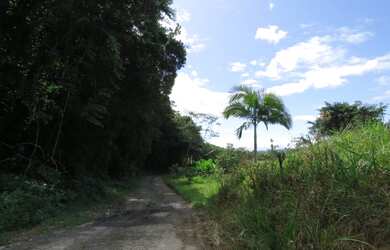 Imagem 5: FAZENDA Fazenda / sítio com venda por R$2.500.000