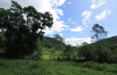 Imagem 12: FAZENDA Fazenda / sítio com venda por R$2.500.000