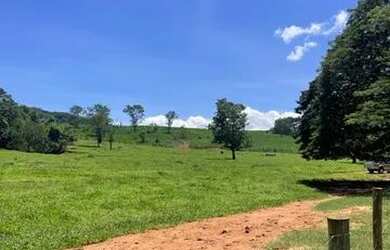 Imagem 4: Sitio com 12 Alqueires na Região de Franca - Pereira