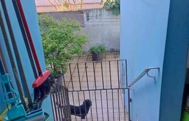 Imagem 1: Casas Térreas para venda em São Paulo no bairro Parque Santa Madalena