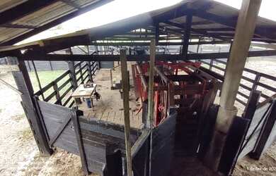 Imagem 6: R$1,2 milhões 75 hectares pronta fazendinha há 72 km de Belém