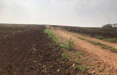 Imagem 3: 133. Fazenda à venda de 200 hectares para lavoura - Rochedo-MS