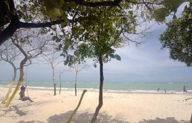 Imagem 11: Alugo uma casa na barra de santo Antônio na ilha da crôa por temporada