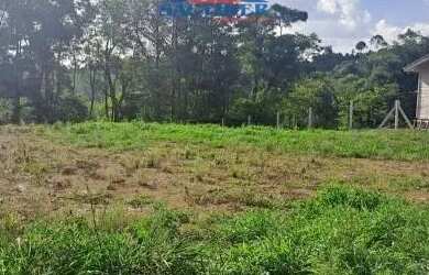 Imagem 5: Terreno Linha 12 Carlos Barbosa