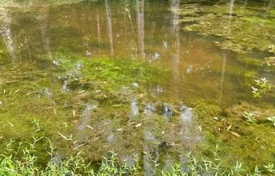 Imagem 4: Chácara para Venda em Juquitiba, Centro