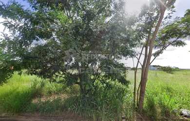 Imagem 3: Terreno Parque Vila Nobre