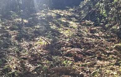 Imagem 6: Terreno Amplo 6,9 Hectares - Gramado RS - Excelente Localização