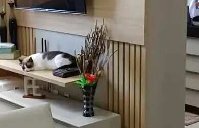 Imagem 8: Apartamento 2 Quartos ao lado do Parque Shopping Cruz das Almas, Maceió