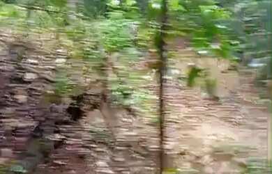 Imagem 8: A M IMOVEIS VENDE EXELENTE FAZENDA COM 400HECTARES EM PARACATU MG