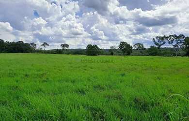 Imagem: Fazenda com 91 hectares banhando pelo rio Cuiabá no Município