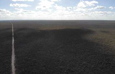 Imagem 5: FAZENDA PRA LARANJA COM 7.000HECTARES, BARATA