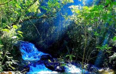 Imagem 11: Terreno a venda localizado no condomínio Ibirapitanga em Santa Isabel-SP