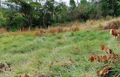 Imagem 6: VENDO urgente esta CHÁCARA