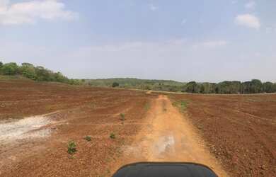 Imagem 5: 133. Fazenda à venda de 200 hectares para lavoura - Rochedo-MS