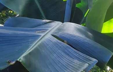 Imagem: A casa em condomínio possui 2 Dormitórios, 1 Banheiro, 2 Vagas