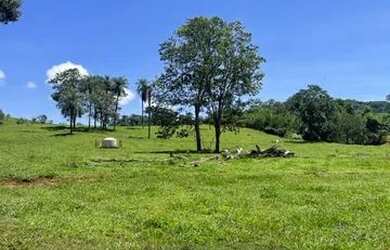 Imagem 6: Sitio com 12 Alqueires na Região de Franca - Pereira