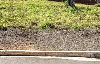 Imagem 6: Lote em Pedro Leopoldo. Piscina