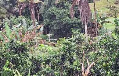 Imagem: A chácara e está localizado em Porto D Antas, Aracaju à venda