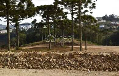 Imagem: O terreno possui 1801m² de Área e está localizado em São