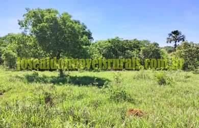 Imagem 6: Sítio 2,50 hectares, muita água, entre Uberlândia e Monte Alegre