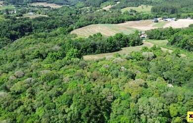 Imagem 7: Sítio / Chácara para Venda em Nova Petrópolis, Linha Araripe