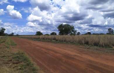 Imagem 5: Fazenda em Peixe. 4.890m² de Área
