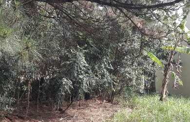 Imagem: O terreno possui 720m² de Área e está localizado em São