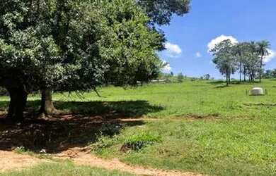 Imagem 10: Sitio com 12 Alqueires na Região de Franca - Pereira