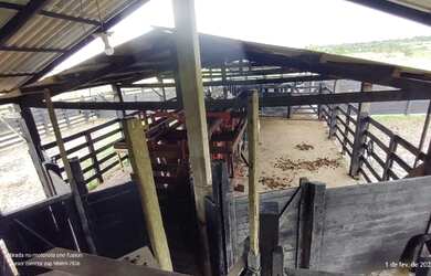 Imagem 7: R$1,2 milhões 75 hectares pronta fazendinha há 72 km de Belém