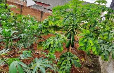 Imagem 5: Terreno à venda, 300 m² por R$ 128.000,00 - Residencial Flor do Cerrado...