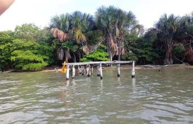 Imagem: A chácara possui 11.390m² de Área e está localizado em