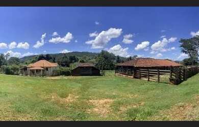 Imagem 8: Sitio com 12 Alqueires na Região de Franca - Pereira