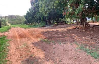 Imagem 1: 133. Fazenda à venda de 200 hectares para lavoura - Rochedo-MS