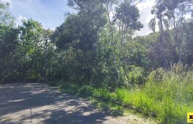 Imagem 6: Terreno para Venda em Nova Petrópolis, Juriti