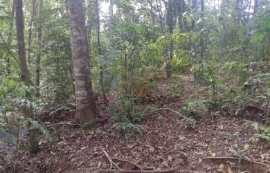 Imagem: O terreno possui 11.026m² de Área e está localizado em Gramado