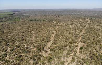 Imagem 2: FAZENDA PRA LARANJA COM 7.000HECTARES, BARATA