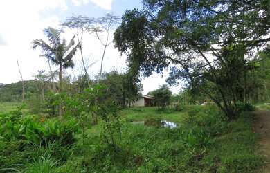 Imagem 14: FAZENDA Fazenda / sítio com venda por R$2.500.000