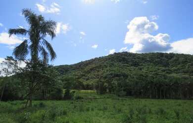 Imagem 11: FAZENDA Fazenda / sítio com venda por R$2.500.000