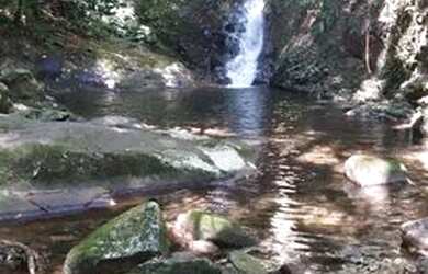 Imagem: O terreno possui 20.000m² de Área e está localizado em Rebouças