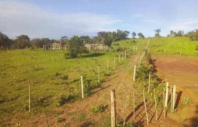 Imagem 3: Excelente fazenda no DF. 300.000m² de Área