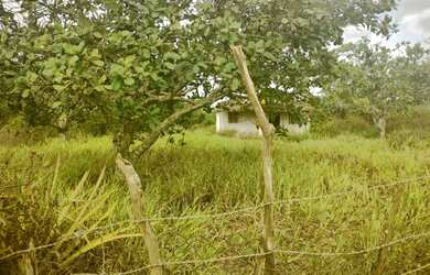 Imagem: A chácara possui 12.000m² de Área e está localizado em