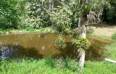 Imagem: A chácara possui 9.600m² de Área e está localizado em Juquitiba