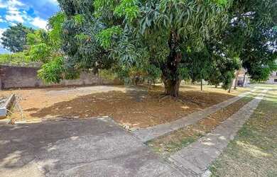 Imagem 3: Chácara na Ceilândia - 5000m2 com asfalto até a porta - Oportunidade