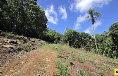 Imagem 6: Sítio / Chácara para Venda em Nova Petrópolis, São Jacó